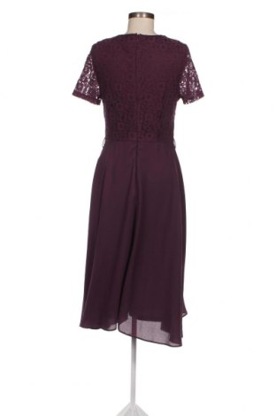 Kleid Dorothy Perkins, Größe M, Farbe Lila, Preis 27,07 €