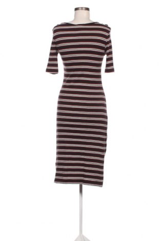Kleid Esmara, Größe S, Farbe Mehrfarbig, Preis 12,90 €