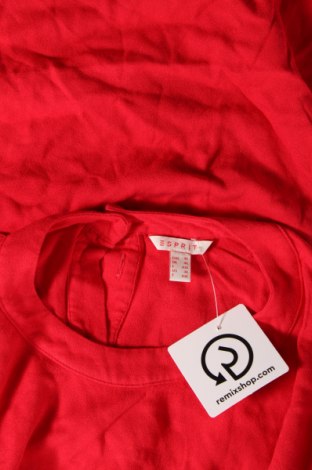 Šaty  Esprit, Veľkosť XL, Farba Červená, Cena  23,25 €