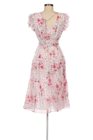 Kleid Forever New, Größe XXS, Farbe Mehrfarbig, Preis € 48,20