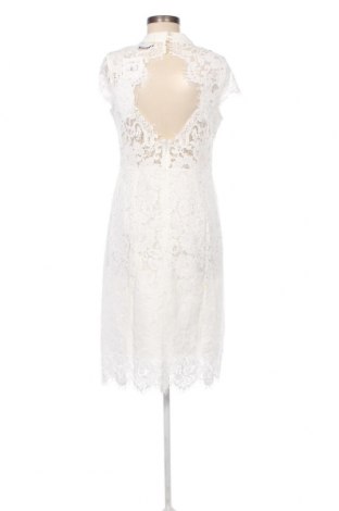 Φόρεμα Ivy & Oak, Μέγεθος L, Χρώμα Λευκό, Τιμή 128,77 €