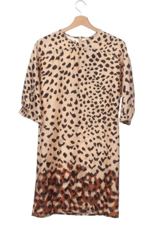 Kleid Mango, Größe XS, Farbe Mehrfarbig, Preis € 15,76
