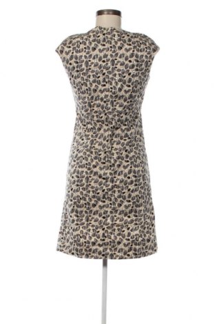 Kleid Marc O'Polo, Größe XS, Farbe Mehrfarbig, Preis € 27,03