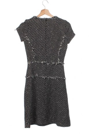 Kleid Massimo Dutti, Größe XS, Farbe Schwarz, Preis € 79,29