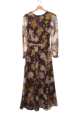 Kleid Massimo Dutti, Größe XS, Farbe Mehrfarbig, Preis € 65,73