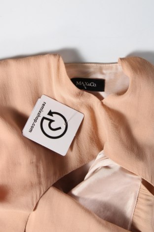 Kleid Max&Co., Größe S, Farbe Rosa, Preis 60,36 €