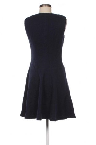 Kleid Max&Co., Größe L, Farbe Blau, Preis 47,12 €
