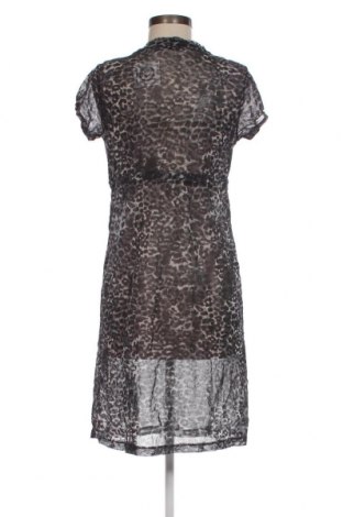 Kleid Mexx, Größe M, Farbe Mehrfarbig, Preis € 11,41