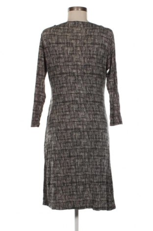 Kleid Ned, Größe L, Farbe Mehrfarbig, Preis 5,65 €