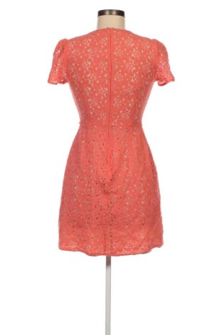 Φόρεμα Oasis, Μέγεθος XS, Χρώμα Πορτοκαλί, Τιμή 11,95 €
