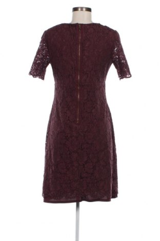 Kleid Phase Eight, Größe M, Farbe Lila, Preis 17,95 €