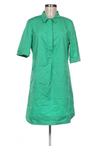 Φόρεμα Riani, Μέγεθος L, Χρώμα Πράσινο, Τιμή 108,87 €