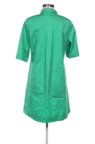 Kleid Riani, Größe L, Farbe Grün, Preis 122,47 €