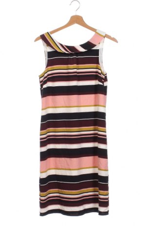 Φόρεμα S.Oliver Black Label, Μέγεθος XS, Χρώμα Πολύχρωμο, Τιμή 15,22 €