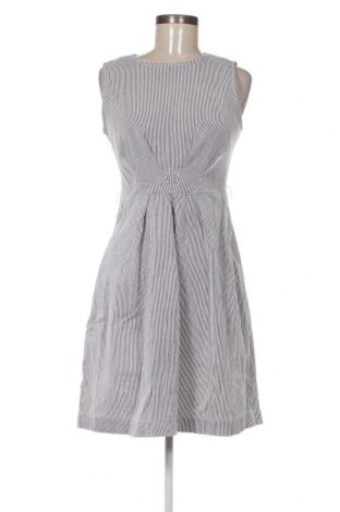 Φόρεμα Sharagano, Μέγεθος S, Χρώμα Πολύχρωμο, Τιμή 25,98 €