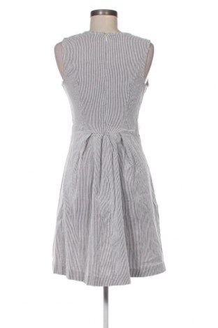 Kleid Sharagano, Größe S, Farbe Mehrfarbig, Preis € 29,23