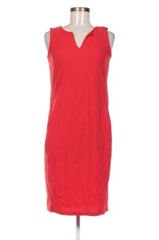 Kleid Studio Anneloes, Größe XS, Farbe Rot, Preis 14,61 €