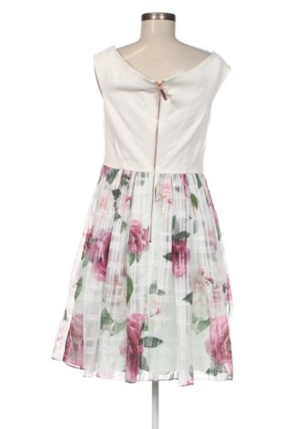 Kleid Ted Baker, Größe M, Farbe Mehrfarbig, Preis € 161,86