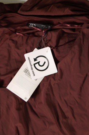 Kleid Zara, Größe L, Farbe Braun, Preis 14,79 €