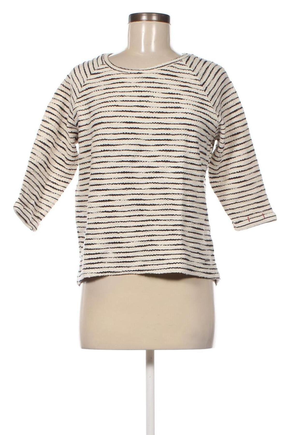 Damen Shirt 17 & Co., Größe L, Farbe Mehrfarbig, Preis € 13,22