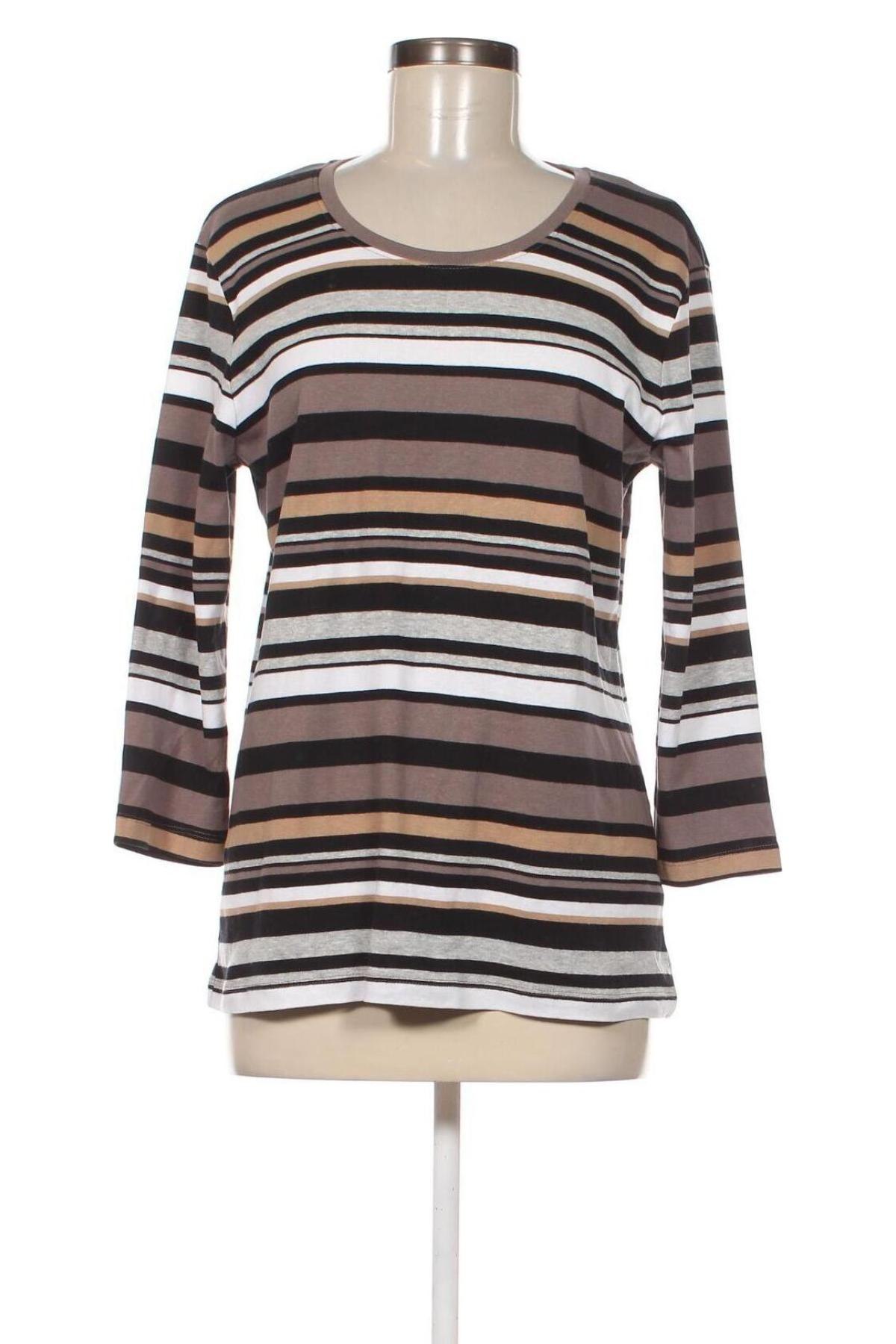 Γυναικεία μπλούζα Adagio, Μέγεθος XL, Χρώμα Πολύχρωμο, Τιμή 11,75 €