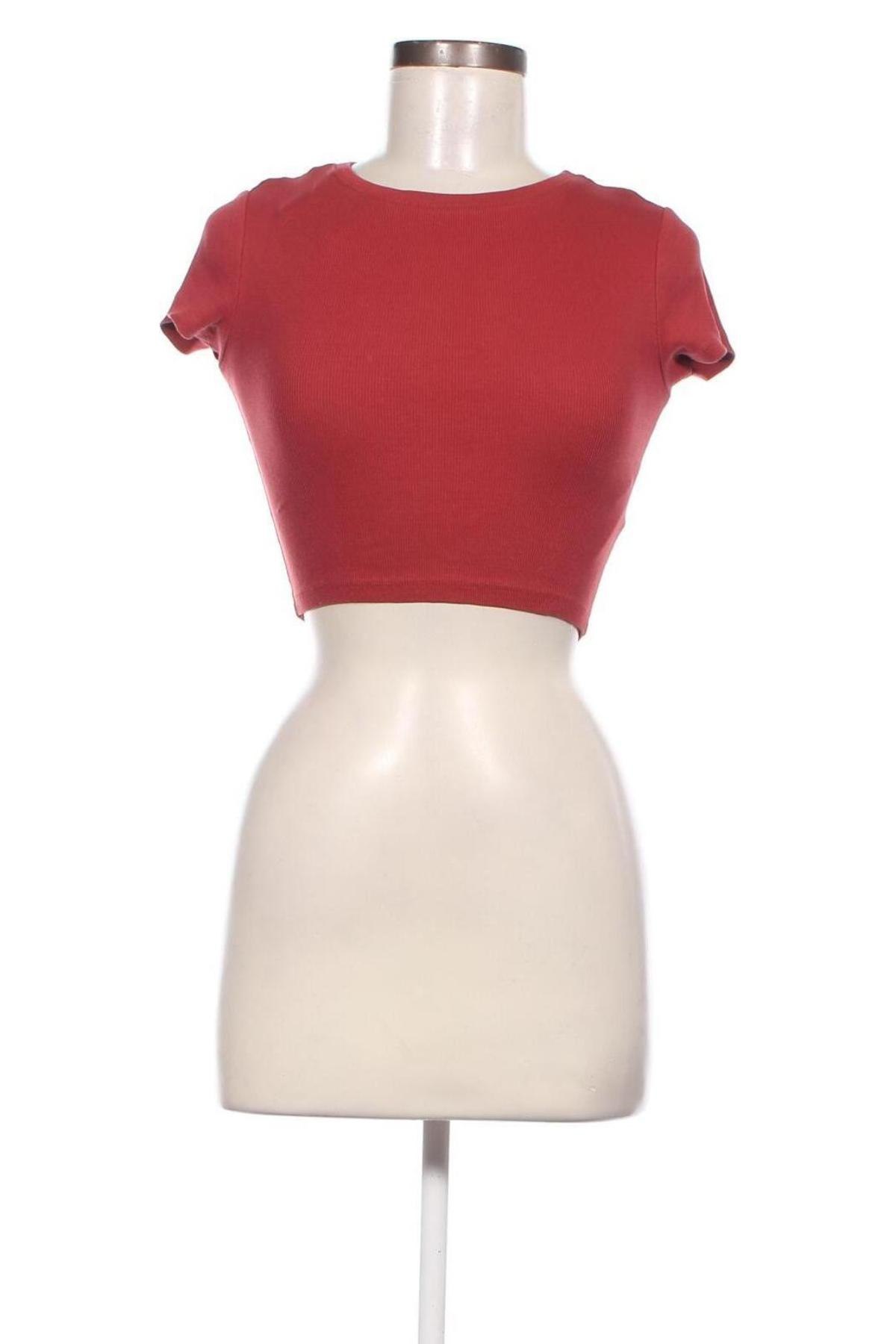 Γυναικεία μπλούζα Fb Sister, Μέγεθος XS, Χρώμα Κόκκινο, Τιμή 9,10 €