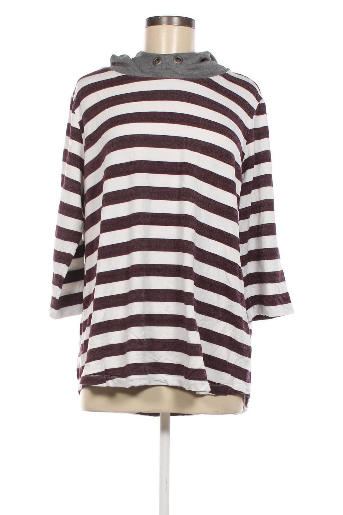 Γυναικεία μπλούζα Kenny S., Μέγεθος XXL, Χρώμα Πολύχρωμο, Τιμή 16,86 €