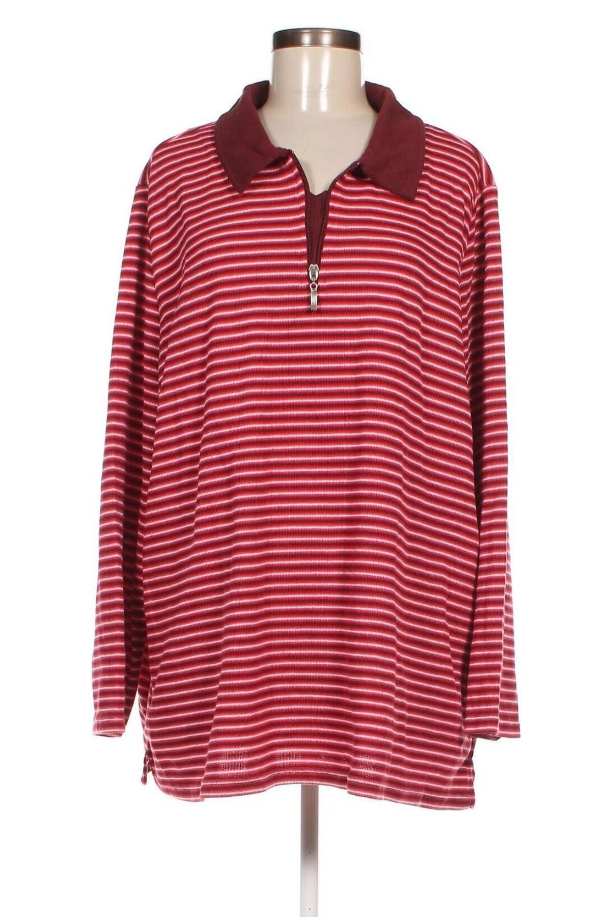 Damen Shirt Paola, Größe 5XL, Farbe Mehrfarbig, Preis € 10,97