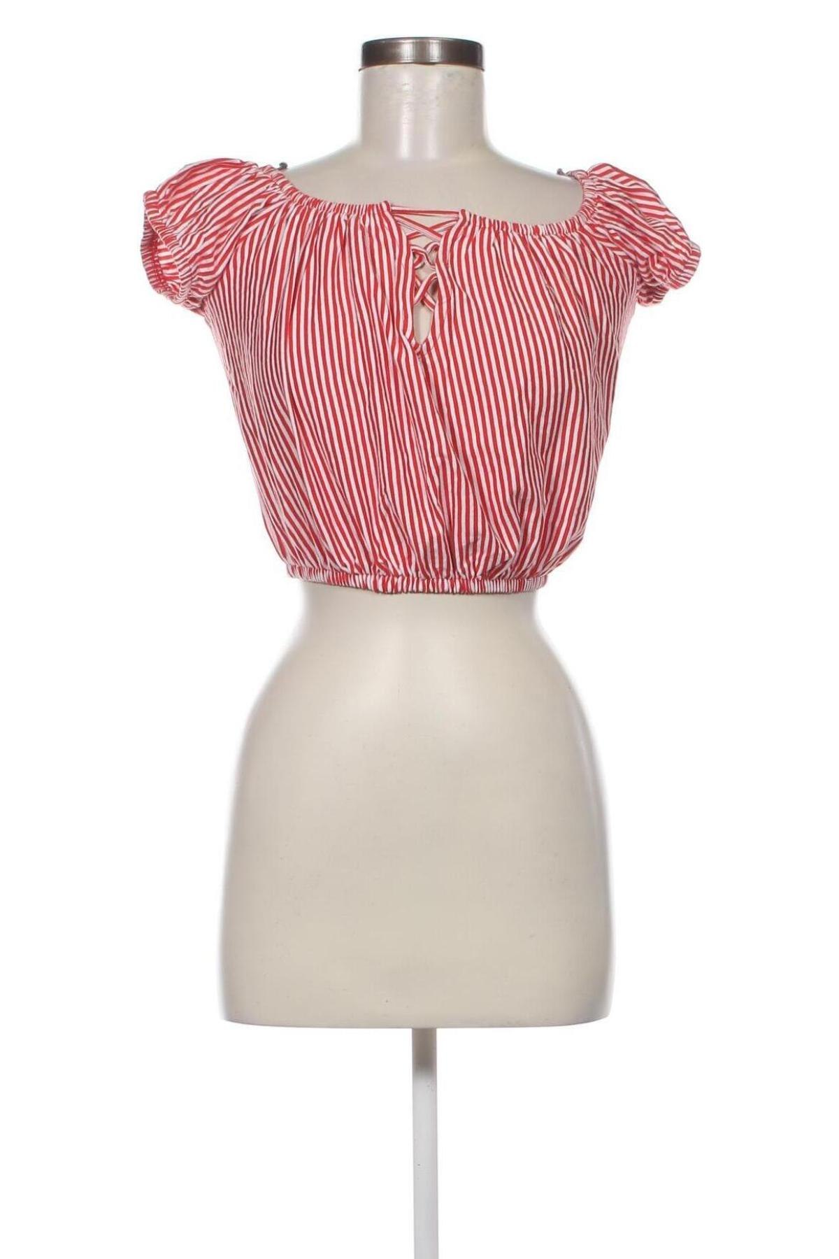 Damen Shirt Terranova, Größe XS, Farbe Mehrfarbig, Preis 6,34 €