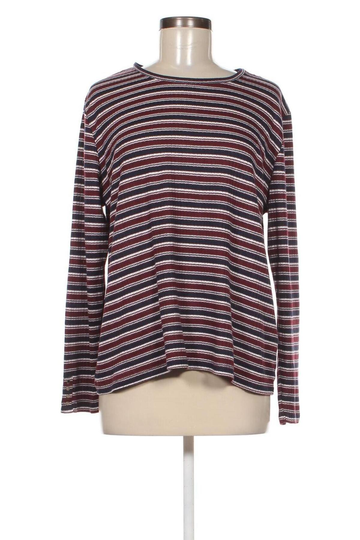 Damen Shirt Via Cortesa, Größe XL, Farbe Mehrfarbig, Preis 4,49 €