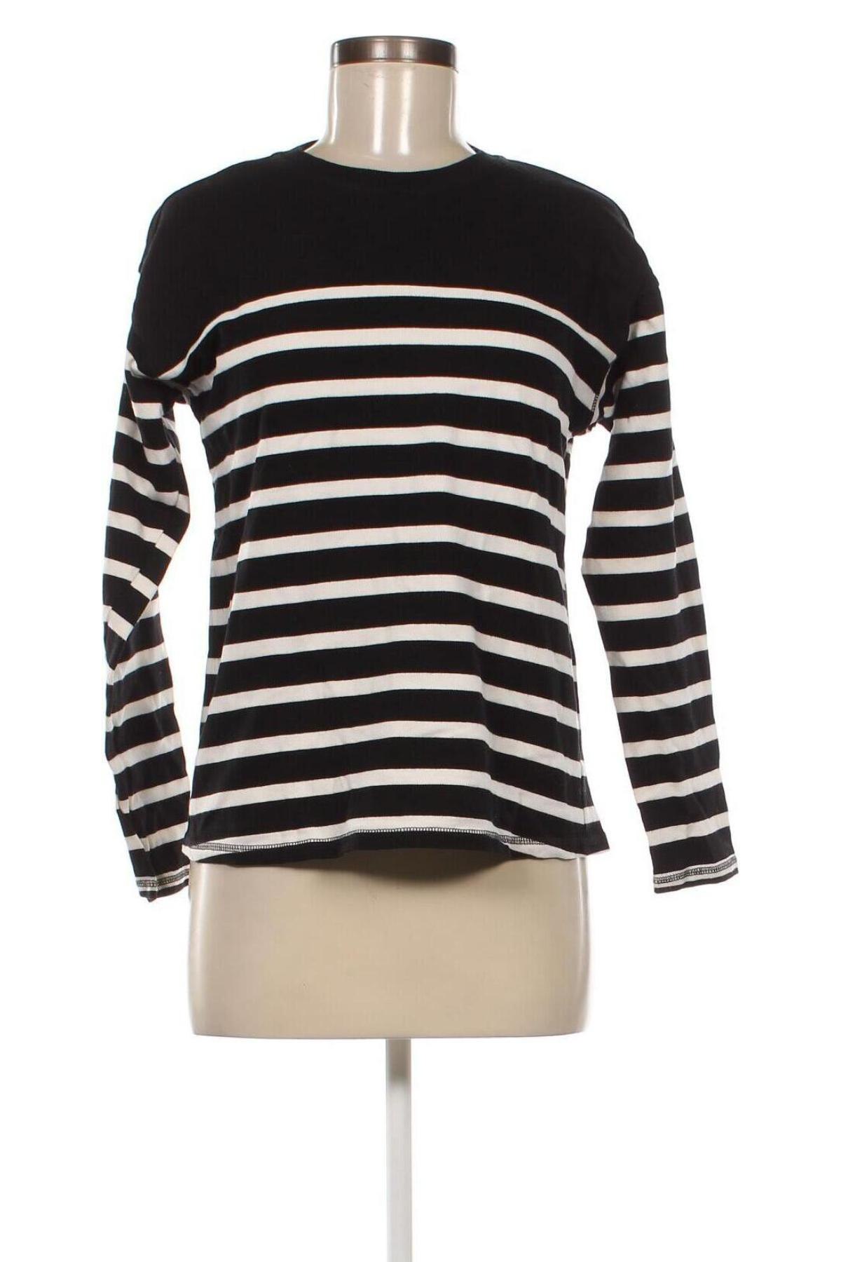 Γυναικεία μπλούζα Zara, Μέγεθος S, Χρώμα Μαύρο, Τιμή 14,85 €