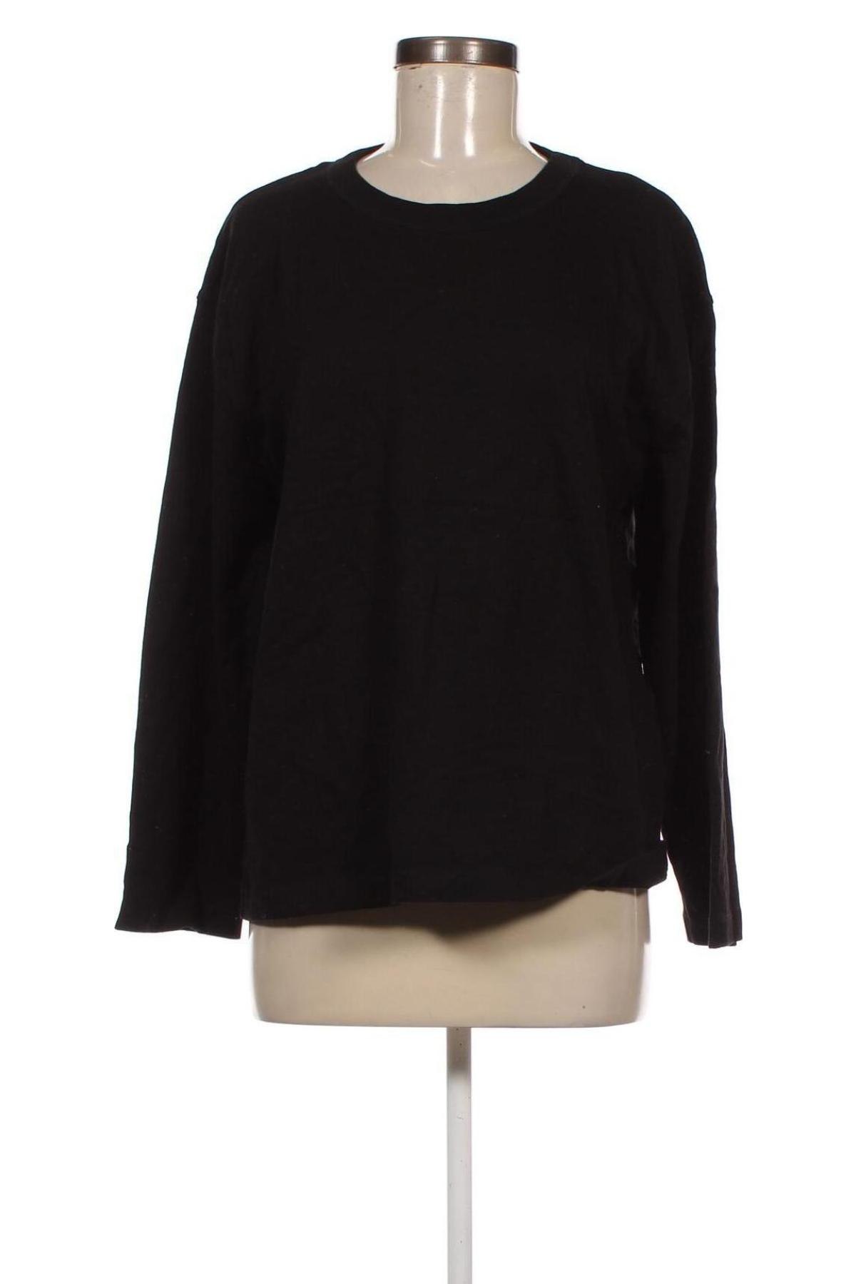 Damen Shirt Zara, Größe L, Farbe Schwarz, Preis € 3,34