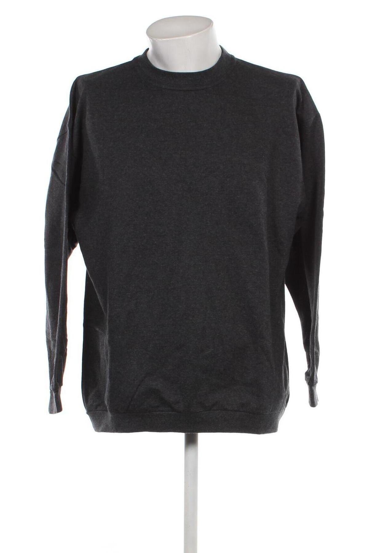 Ανδρική μπλούζα, Μέγεθος XXL, Χρώμα Γκρί, Τιμή 6,11 €