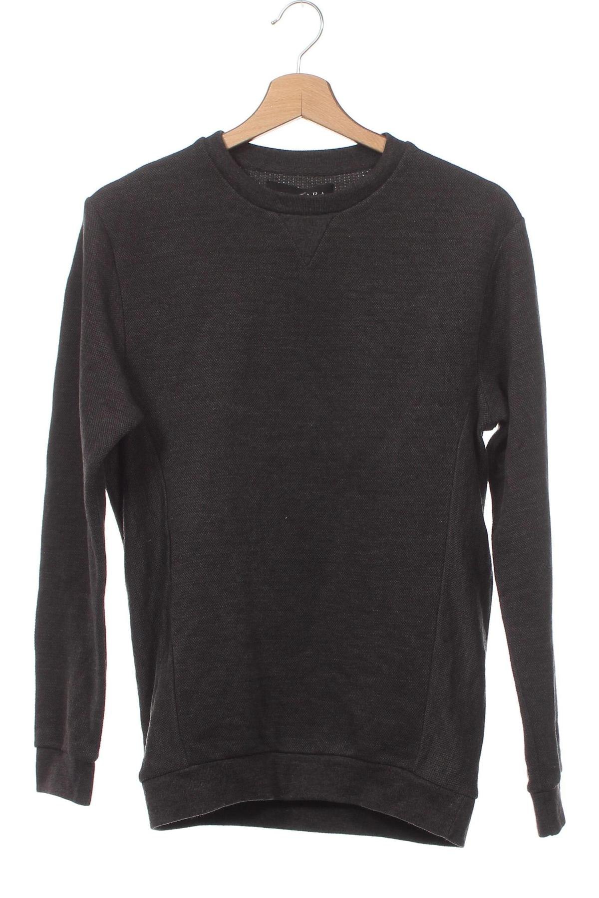 Herren Shirt Zara, Größe S, Farbe Grau, Preis 3,76 €