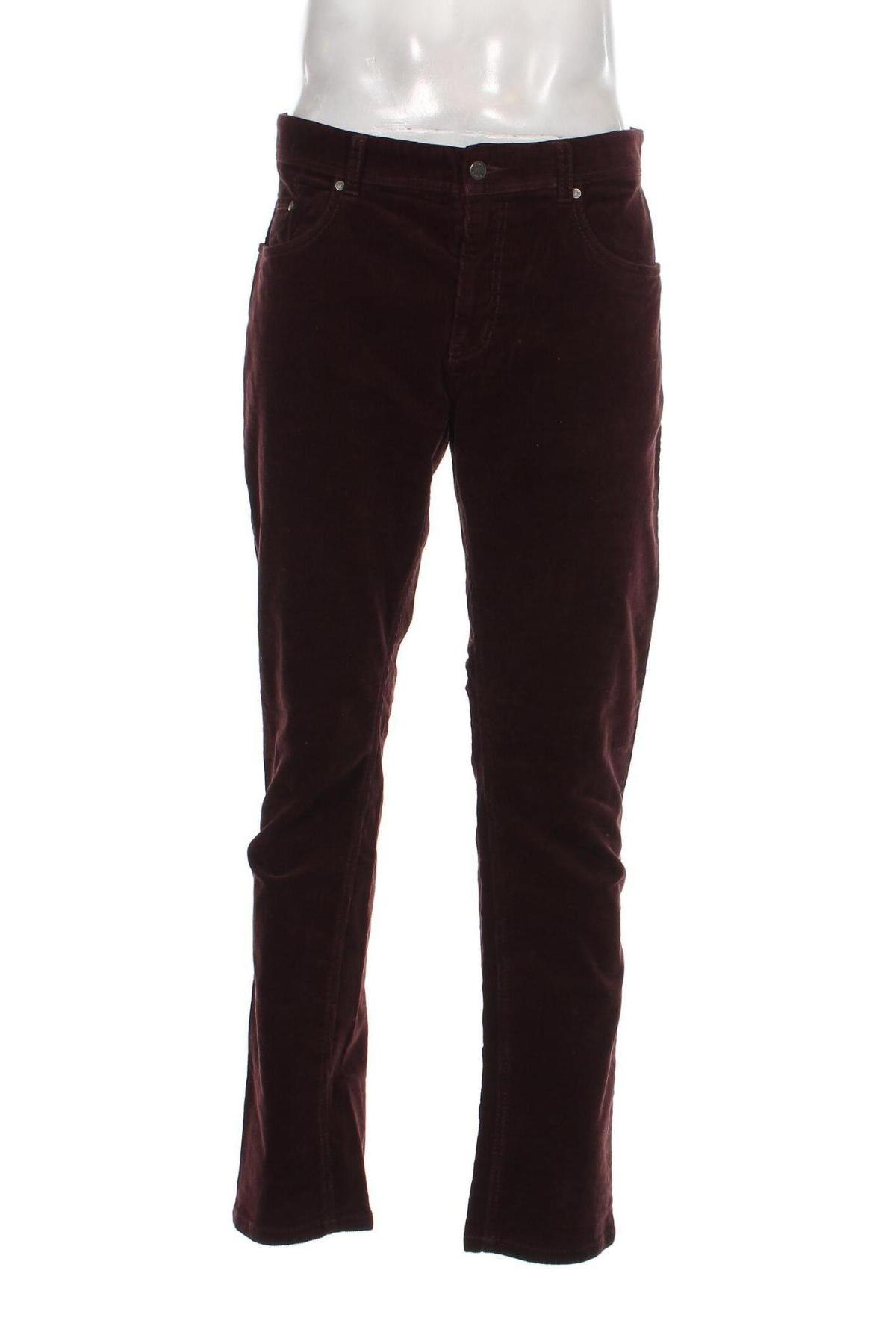 Pantaloni raiați de bărbați Red Point, Mărime L, Culoare Maro, Preț 71,48 Lei
