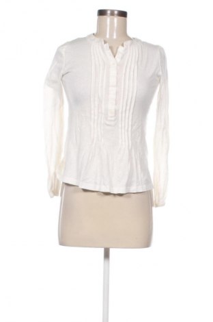 Damen Shirt Cyrillus, Größe S, Farbe Weiß, Preis € 25,00