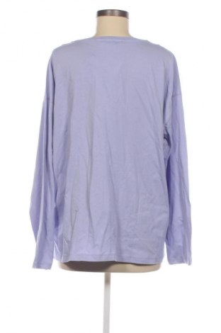 Damen Shirt LCW, Größe 3XL, Farbe Blau, Preis € 15,86