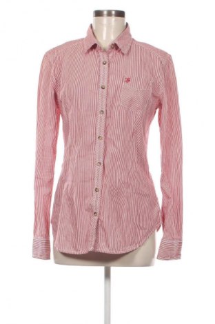 Damenbluse Timeout, Größe L, Farbe Mehrfarbig, Preis 3,99 €