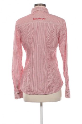 Damenbluse Timeout, Größe L, Farbe Mehrfarbig, Preis 3,99 €