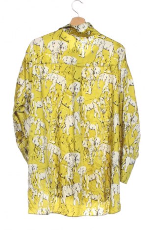 Cămașă de femei Zara, Mărime XS, Culoare Multicolor, Preț 88,99 Lei