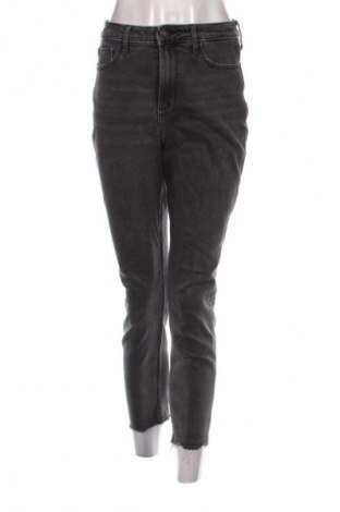 Damen Jeans Hollister, Größe M, Farbe Grau, Preis € 7,99