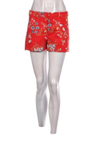 Damen Shorts Amisu, Größe M, Farbe Mehrfarbig, Preis € 4,99