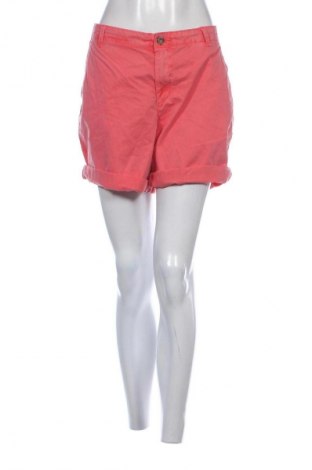 Damen Shorts Esprit, Größe XL, Farbe Rosa, Preis 23,99 €