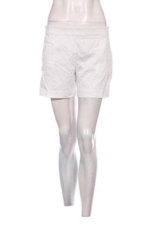 Damen Shorts Hallhuber, Größe M, Farbe Weiß, Preis € 25,99