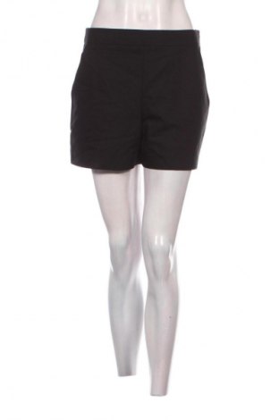 Damen Shorts Hallhuber, Größe M, Farbe Schwarz, Preis € 14,99