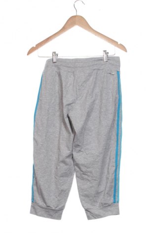 Damskie spodnie Adidas, Rozmiar XS, Kolor Szary, Cena 117,99 zł