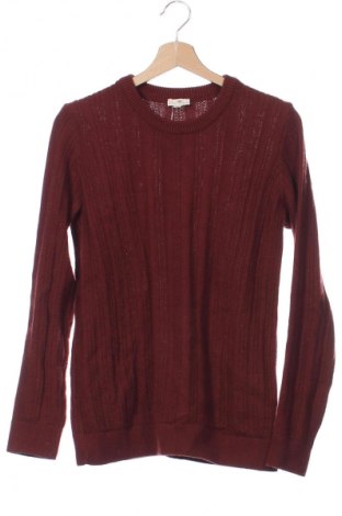 Damenpullover Grune Erde, Größe XS, Farbe Rot, Preis 10,99 €