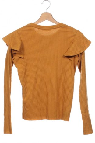 Damenpullover Zara Trafaluc, Größe XXS, Farbe Orange, Preis 13,84 €