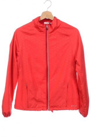 Damenjacke Nkd, Größe XS, Farbe Rot, Preis € 10,99