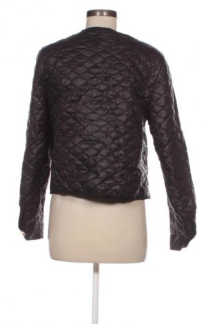 Damenjacke SHEIN, Größe M, Farbe Schwarz, Preis € 8,99